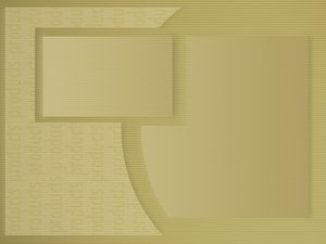 区块链的标准化与个性化平衡
